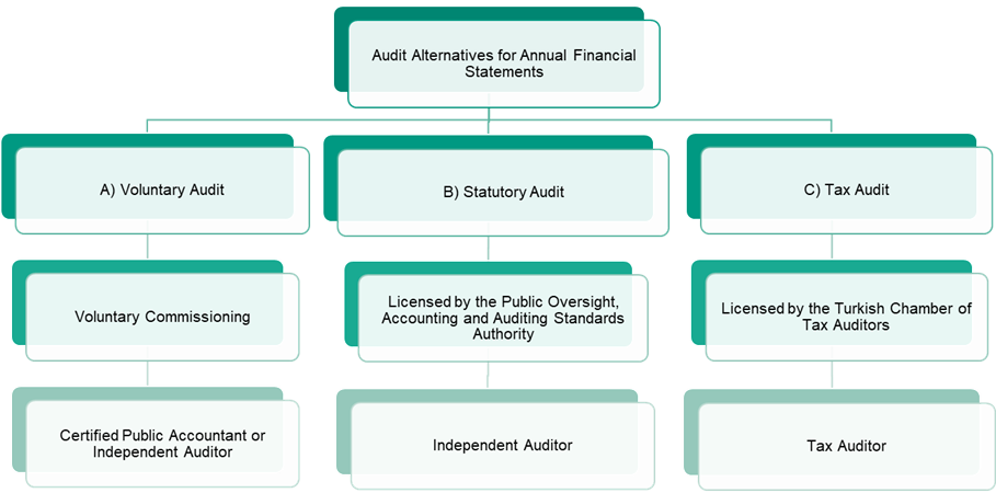 Audit Types of Financial Statements in Turkey.png